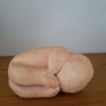 16.-foetus-768x1024